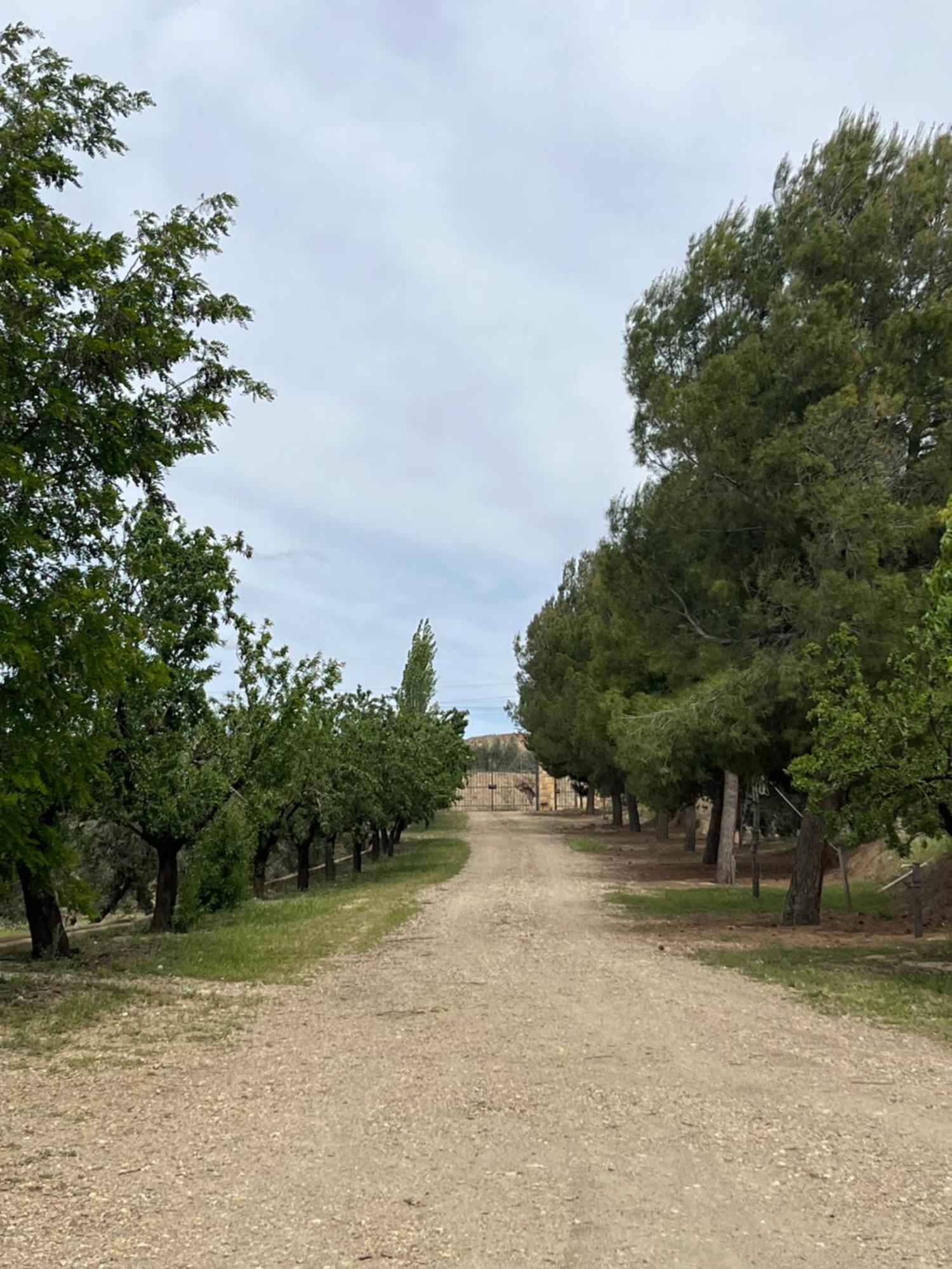 Vila Cortijo Don Meliton Guadix Exteriér fotografie